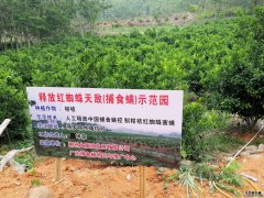 各地區(qū)域果農(nóng)使用捕食螨的反饋